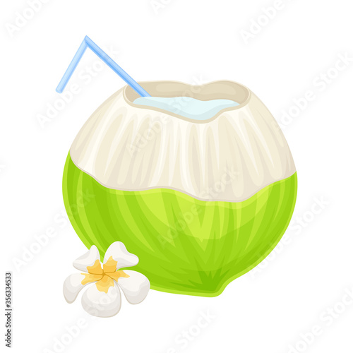 Subtropical Coconut Cocktail in Green Coconut Shell with Straw and Plumeria Flower Vector Illustration