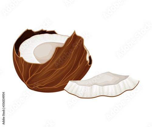 Cracked Coconut with Hard Shell and Fibrous Husk Showing White Inner Flesh Vector Illustration