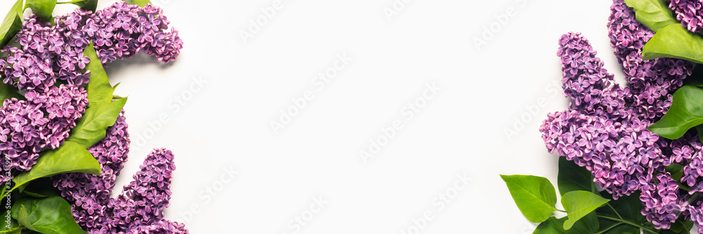 Spring flower. Lilac branches on a white background. Copy space, flat, lay. Banner