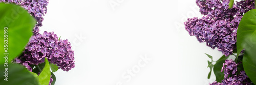 Spring flower. Lilac branches on a white background. Copy space, flat, lay. Banner