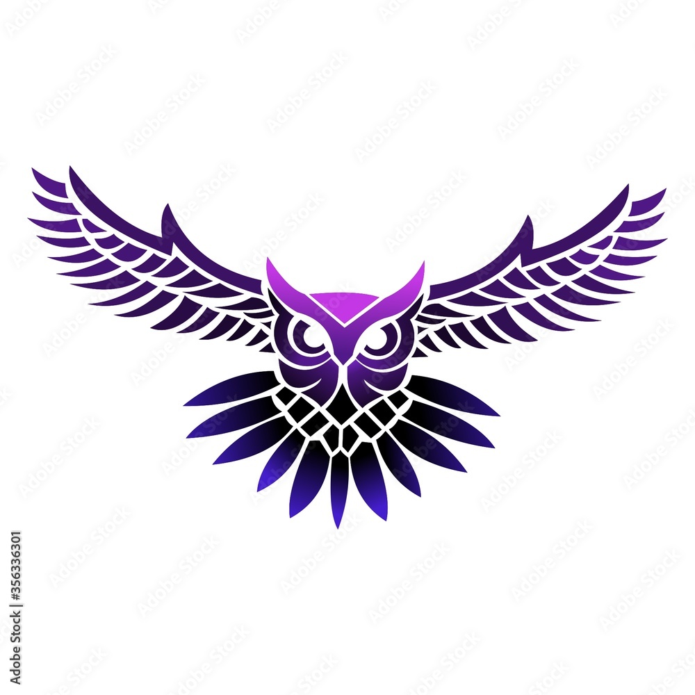 Obraz premium eagle with wings