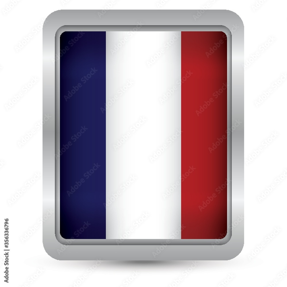 france flag button france flag button