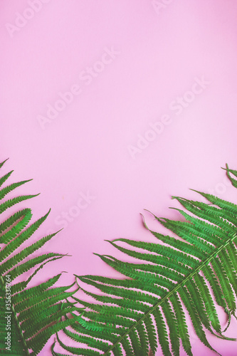 Green plant leaf on soft pink background