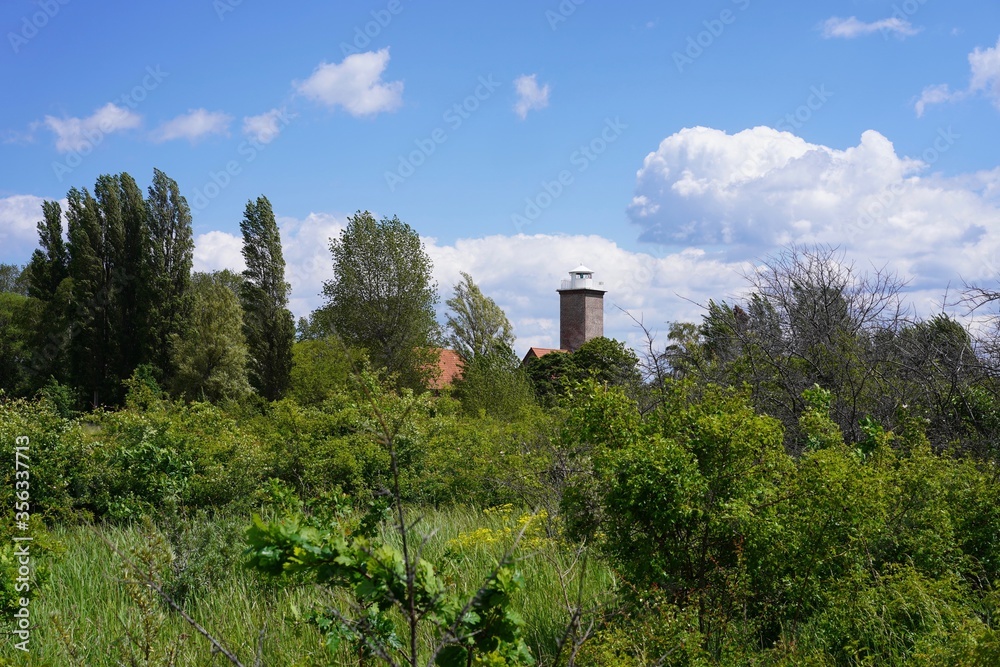 Wilde Dünenlandschaft der Ostsee mit Leuchtturm