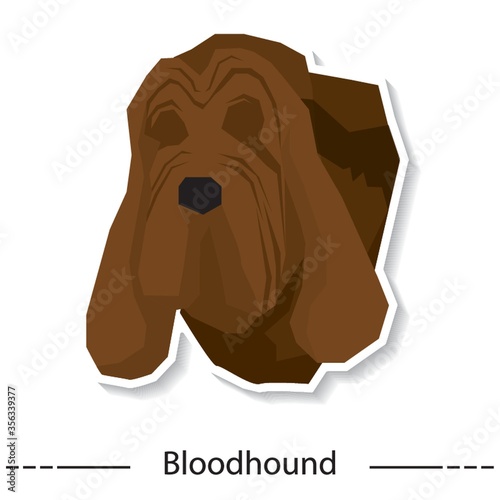 bloodhound