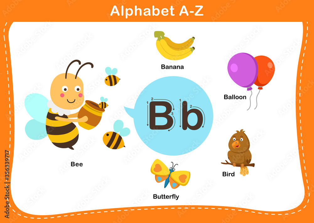 Alphabet Letter B vector illustration