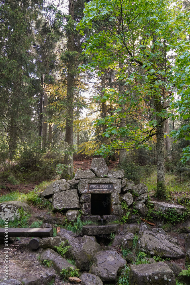 Felsen im Fichtelgebirge Wald Natur Wandern Felsen im Fichtelgebirge Wald Natur Wandern