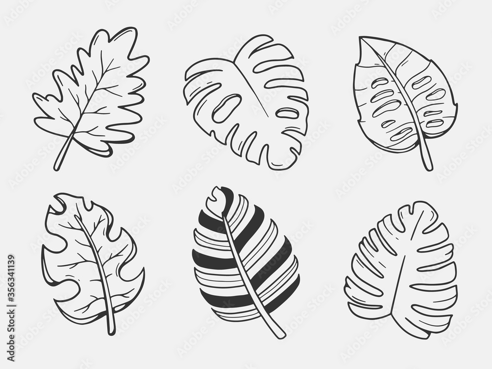 leaves illustration. set of vector leaves. hand drawn art. leaf skeleton. leaves illustration. set of vector leaves. hand drawn art. leaf skeleton.