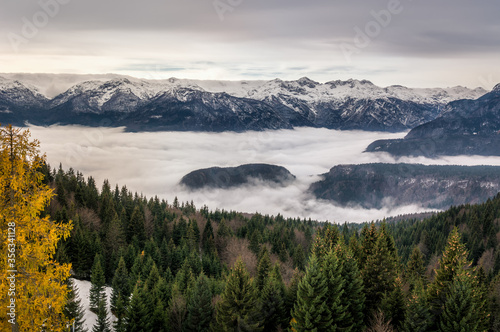 Fototapeta Naklejka Na Ścianę i Meble -  Low altitude inversion clouds rolling in Alpine valley. Julian Alps covered with snow in winter season, Slovenia. Evergreen spruce trees in foreground. Amazing aerial view, wide shot