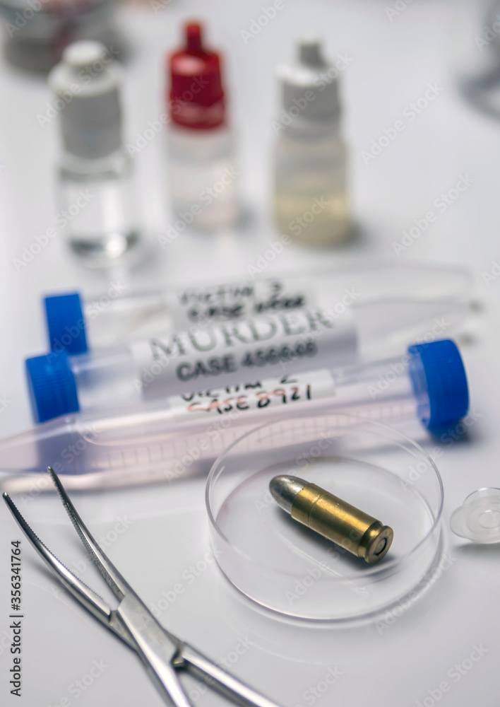 Expert police examines a bullet cap in scientific laboratory with magnifying glass Expert police examines a bullet cap in scientific laboratory with magnifying glass