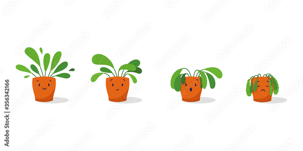Cute sad wilted plant in a pot. Stages of withering, abandoned and