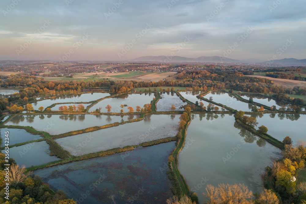 Fish breeding ponds, fish pond in Bielsko Biala, Beskid Mountains Poland Aerial drone