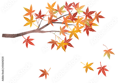 紅葉 もみじ 枝 ベクター イラスト（水彩）