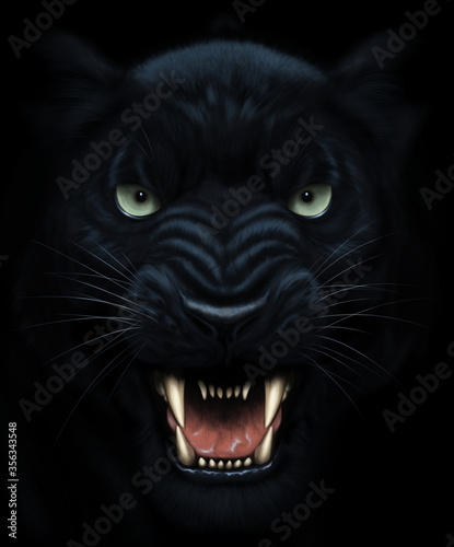 Panther face painting