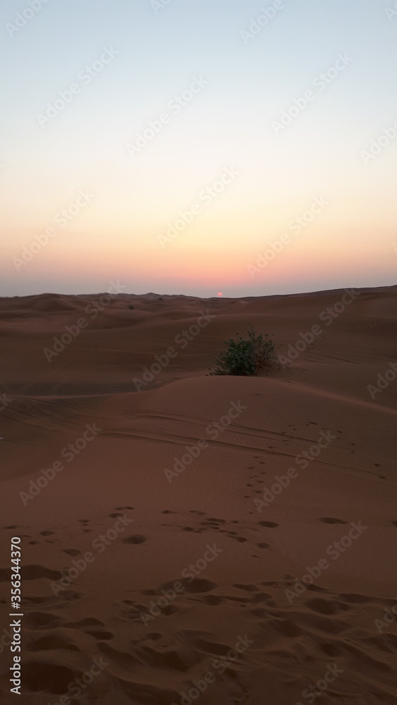 desert