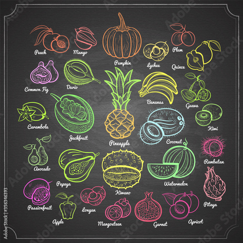 Big fruits collection. Pineapple, bananas, pumpkin, mango, passion, papaya, apple, melon, avocado, fig, kiwi, apricot, garnet, peach, plum, lychee and oth. Outline chalk pained on chalkboard vector.