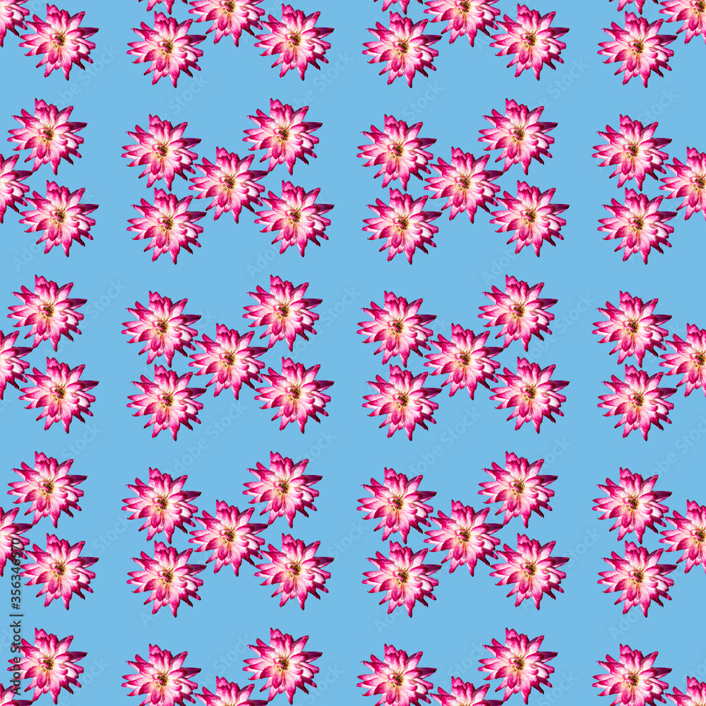 Pattern with roses on a light blue background