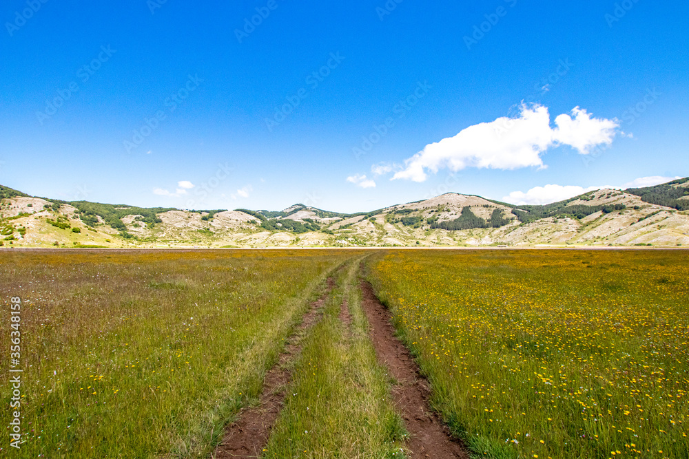 Mountain landscape of the Italian Apennines. Flowery field in spring. Plateau Rascino with flowering and greenery. Italian mountain panorama. Real picture