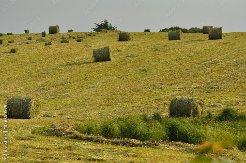 Fototapeta premium Polska - Mazury - Warmia. Jesień.