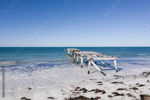 Aerial view of the coastline at Eucla, Western Australia photo