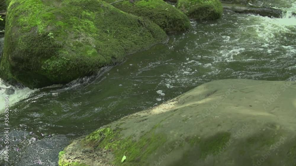 Fresh flowing water brook with water drops in the nature with a stone with moss in the background slow motion medium shot