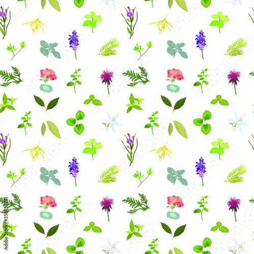 seamless pattern with various plants and flowers that can be used to make essential oils