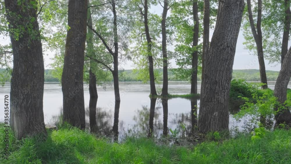 Trees on the coast of river during spring flood Trees on the coast of river during spring flood