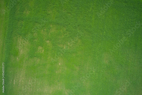 Green grass aerial view high altitude
