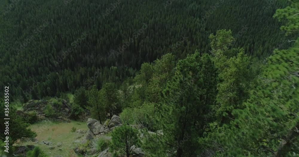 Low sweeping aerial over cliff of canyon in the Bighorn Mountains of Wyoming. Imagery includes steep cliffs, dense forest pine trees, distant creek. Low sweeping aerial over cliff of canyon in the Bighorn Mountains of Wyoming. Imagery includes steep cliffs, dense forest pine trees, distant creek.