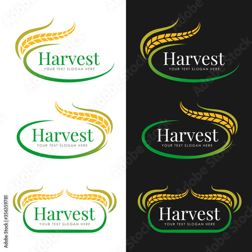 Yellow green Harvest paddy rice logo vector collection design