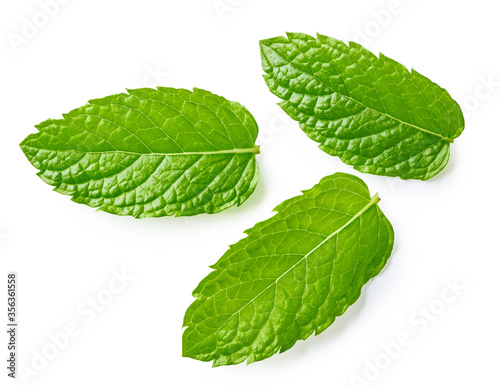 Mint leaves isolated on white background. Top view of mint