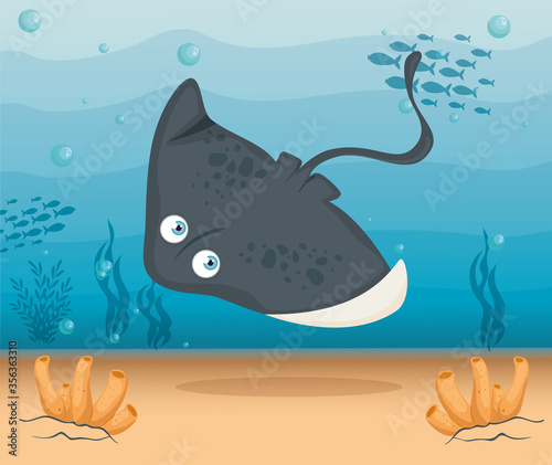 stingray animal marine in ocean, sea world dweller, cute underwater creature,habitat marine vector illustration design