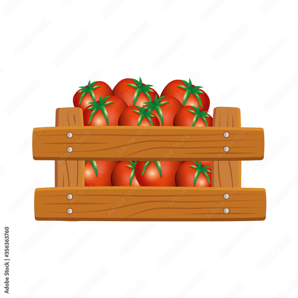 tomatoes inside box design, Vegetable organic food healthy fresh natural and market theme Vector illustration tomatoes inside box design, Vegetable organic food healthy fresh natural and market theme Vector illustration