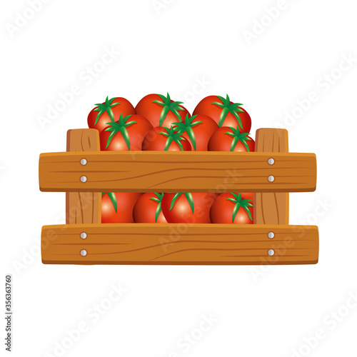 tomatoes inside box design, Vegetable organic food healthy fresh natural and market theme Vector illustration