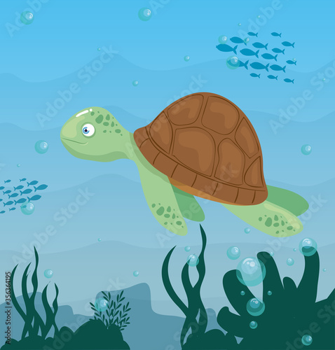 Fototapeta Naklejka Na Ścianę i Meble -  turtle animal marine in ocean, sea world dweller, cute underwater creature,habitat marine vector illustration design