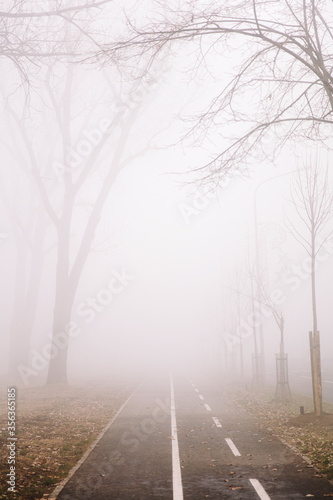 Bike path in the foggy wint...