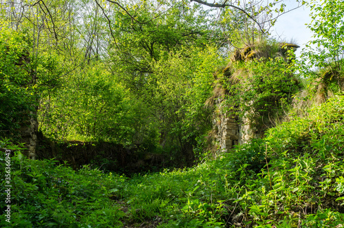 ruiny cerkwi w miejscowości Hulskie - Bieszczady