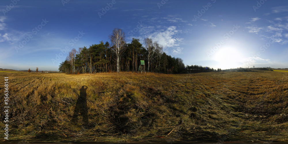 Natural forest Landscape HDRI Panorama Natural forest Landscape HDRI Panorama