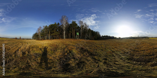 Natural forest Landscape HDRI Panorama