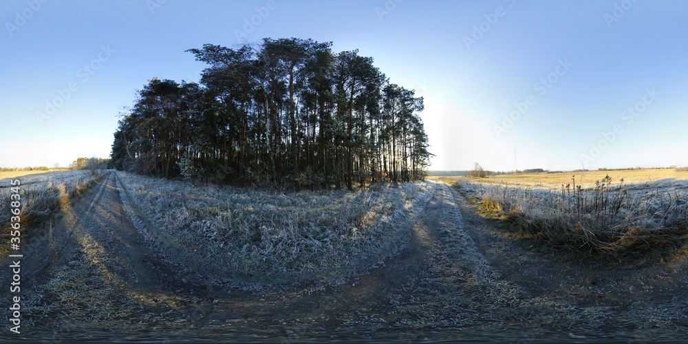 Obraz premium Winter Forest HDRI Panorama