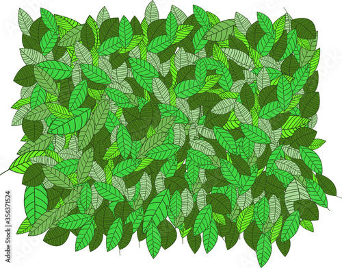 Leafs pattern