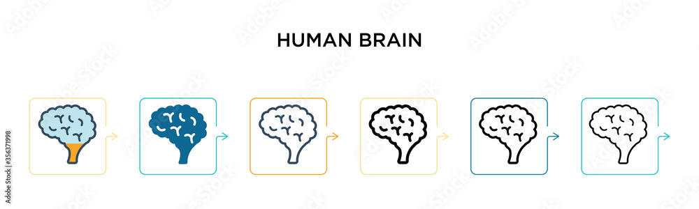 Human brain vector icon in 6 different modern styles. Black, two colored human brain icons designed in filled, outline, line and stroke style. Vector illustration can be used for web, mobile, ui Human brain vector icon in 6 different modern styles. Black, two colored human brain icons designed in filled, outline, line and stroke style. Vector illustration can be used for web, mobile, ui