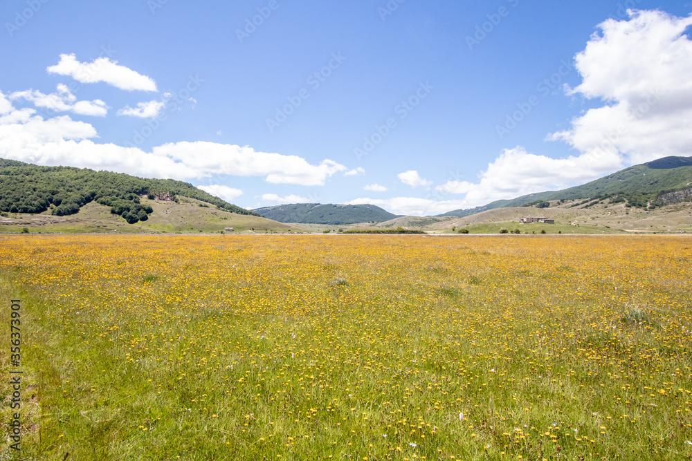 Mountain landscape of the Italian Apennines. Flowery field in spring. Plateau Rascino with flowering and greenery. Italian mountain panorama. Real picture