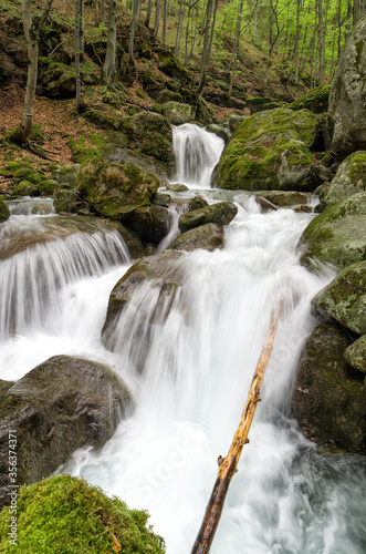 waterfall in the forest © Iliya