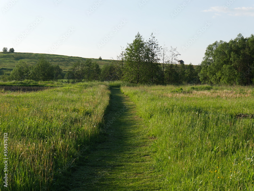 Obraz premium road in the field