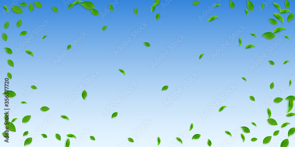 Falling green leaves. Fresh tea chaotic leaves fly