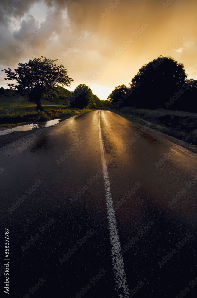 wet road at sunset, asphalt road after rain on summer evening