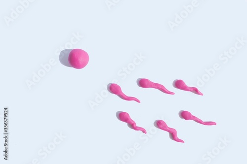 Fertilization concept image. Sperm and egg shaped play dough.