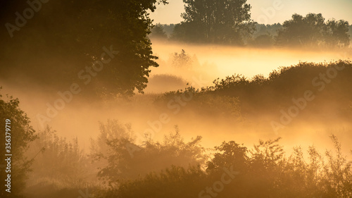 Poranne mgły w Dolinie Górnej Narwi, Podlasie, Polska