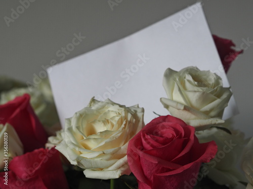 Greeting background.Space for text.Large bouquet of white and red pink roses on a gray background.A paper letter or message.With love 